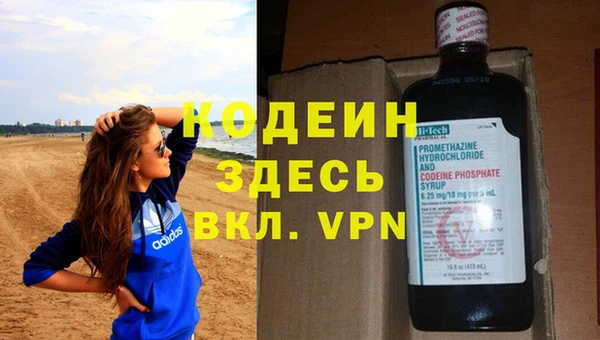 сатива Абинск