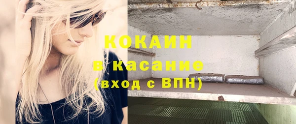 сатива Абинск