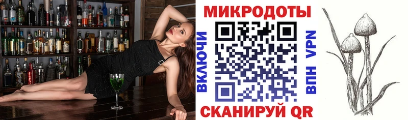 Галлюциногенные грибы Magic Shrooms  где можно купить наркотик  Чухлома 